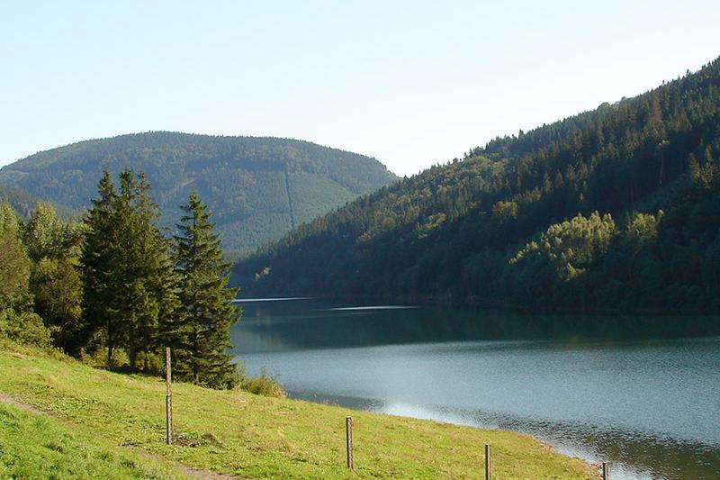 První obrázek